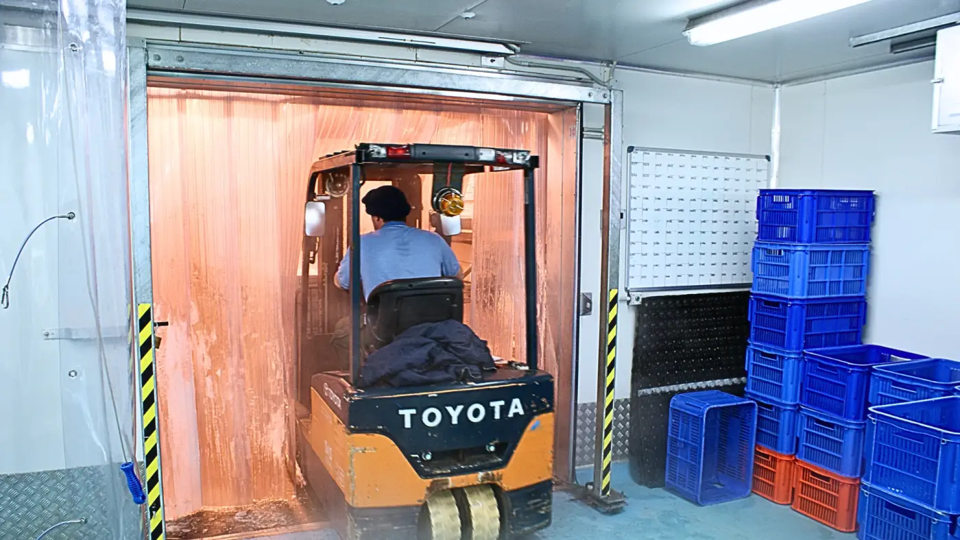 pvc curtain strips in a coldroom with forklift passing through