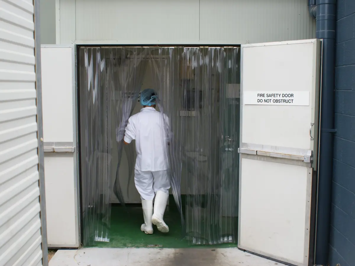 Walking through plastic curtains;  PVC door strips to a cold room in a food processing and manufacturing factory of Golden Cockerel