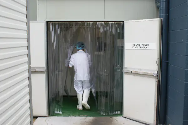 Walking through plastic curtains;  PVC door strips to a cold room in a food processing and manufacturing factory of Golden Cockerel